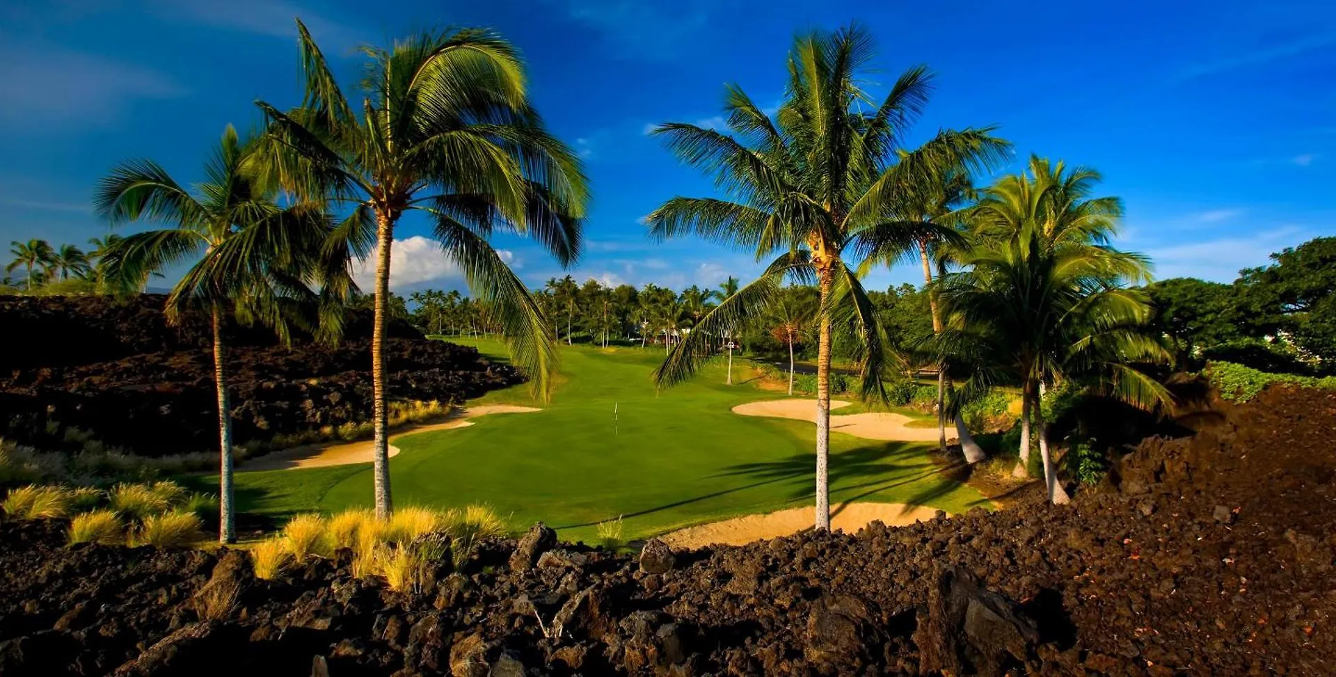 Fairway Villas Waikoloa J21 США