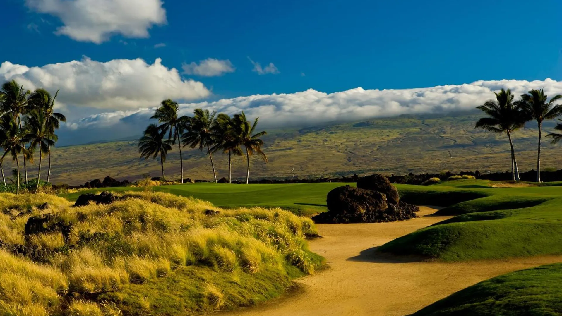 Fairway Villas Waikoloa J21 США
